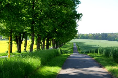 L24 Avenue in Wichmannsdorf 2021-05-29 14