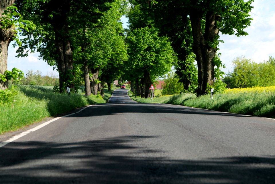 L24 Avenue in Wichmannsdorf 2021-05-29 10