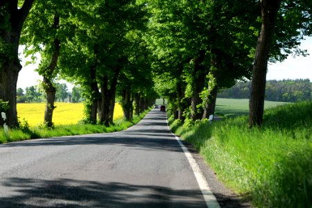 L24 Avenue in Wichmannsdorf 2021-05-29 12