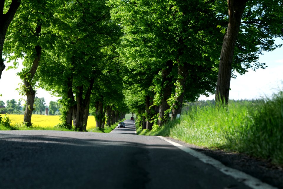 L24 Avenue in Wichmannsdorf 2021-05-29 13