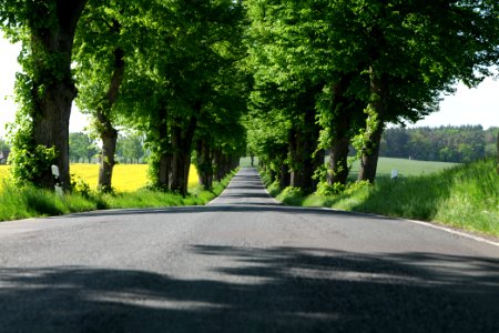 L24 Avenue in Wichmannsdorf 2021-05-29 09