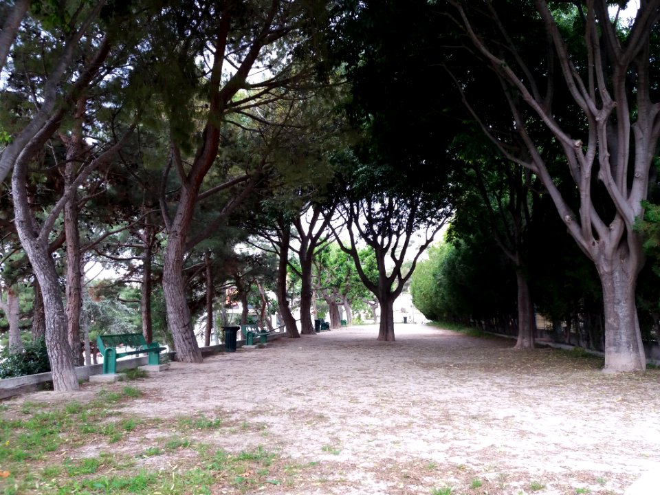 L'Estaque - Jardin de la Falaise - Haut
