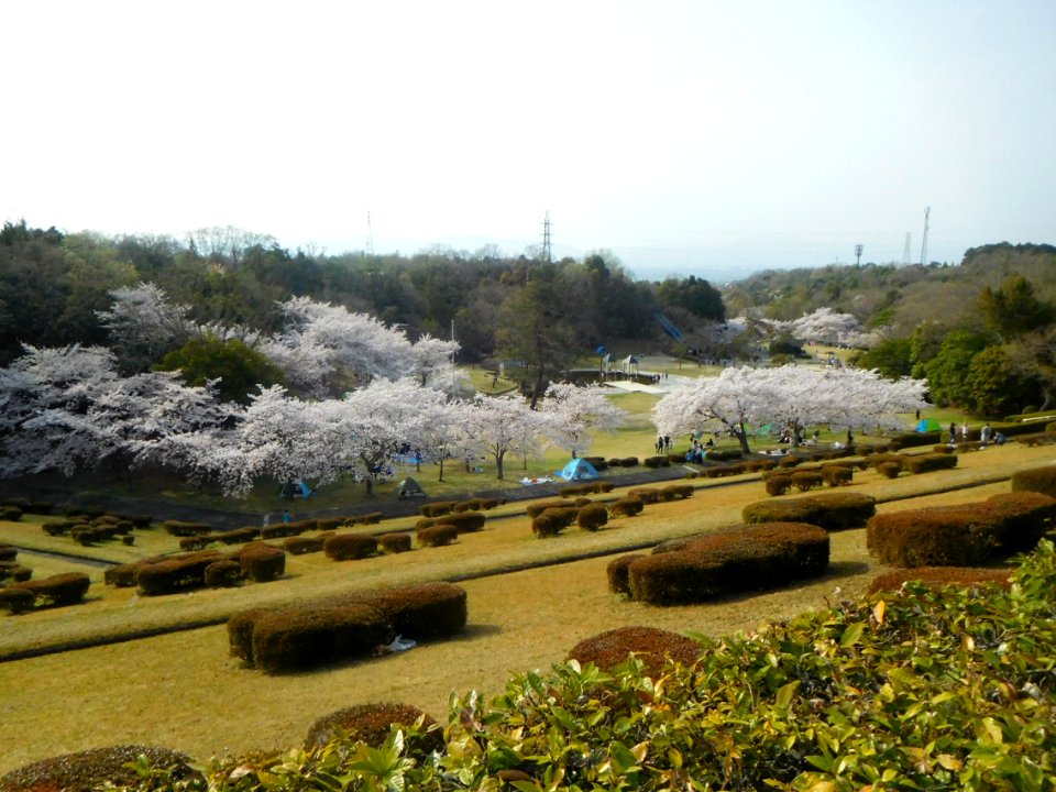 Kyoto Yamashiro Sports Park 003