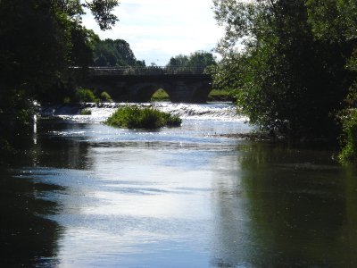 L'Armançon à Tonnerre (Yonne, Fr)