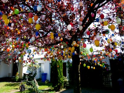 L'arbre aux oeufs de Paques