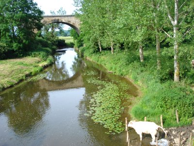 L'Arconce à Lugny-lès-Charolles avec pont du chemin de fer