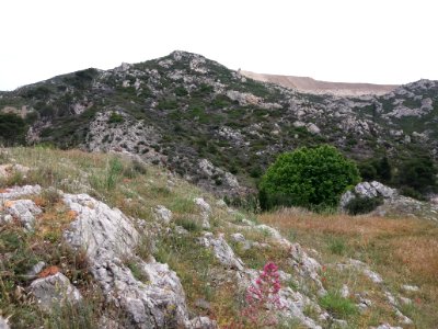 L'Estaque - Chemin de la Nerthe - Colline