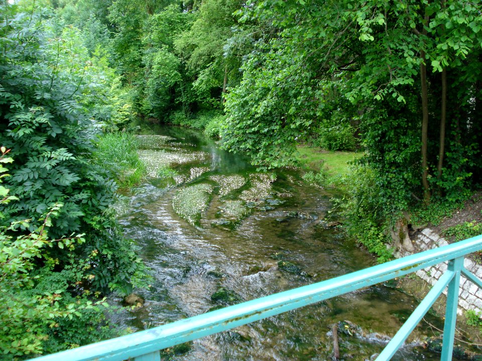 L'Arce à Merrey-sur-Arce (Aube,Fr)