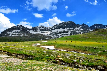 Nature green kaçkars