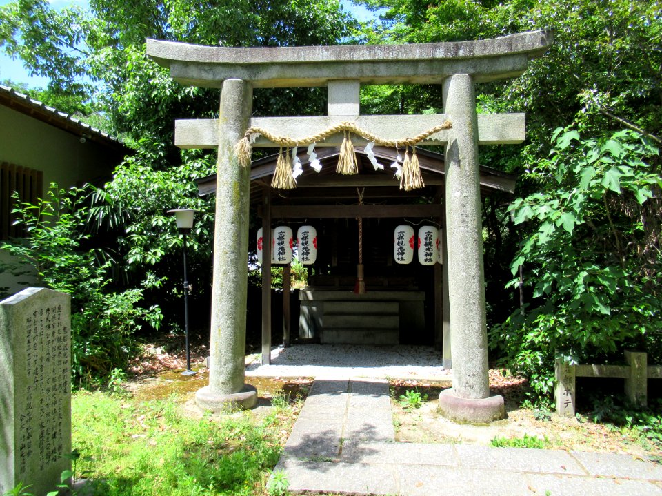 Kyoto Kanko-jinja Kyoto Gyoen 003
