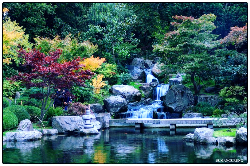 Kyoto Garden London (195437169)