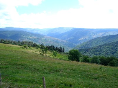 La Bastide-Puylaurent (Lozère, Fr), col du Thort 1120 m,coté nord