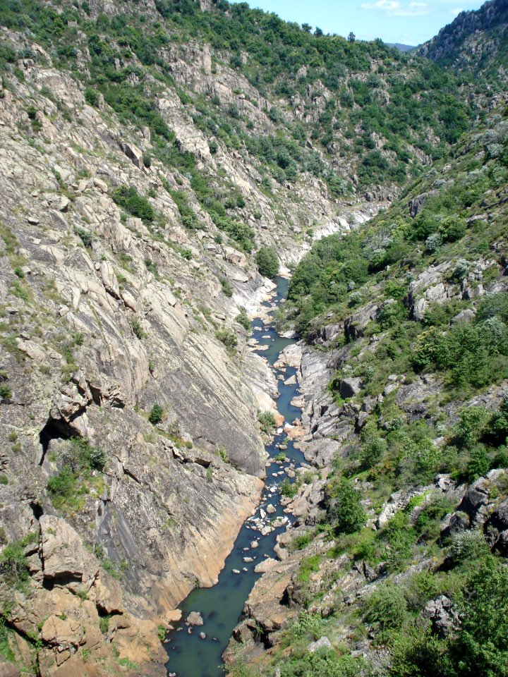 L'Altier à sa sortie du barrage du lac de Villefort