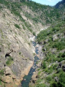 L'Altier à sa sortie du barrage du lac de Villefort