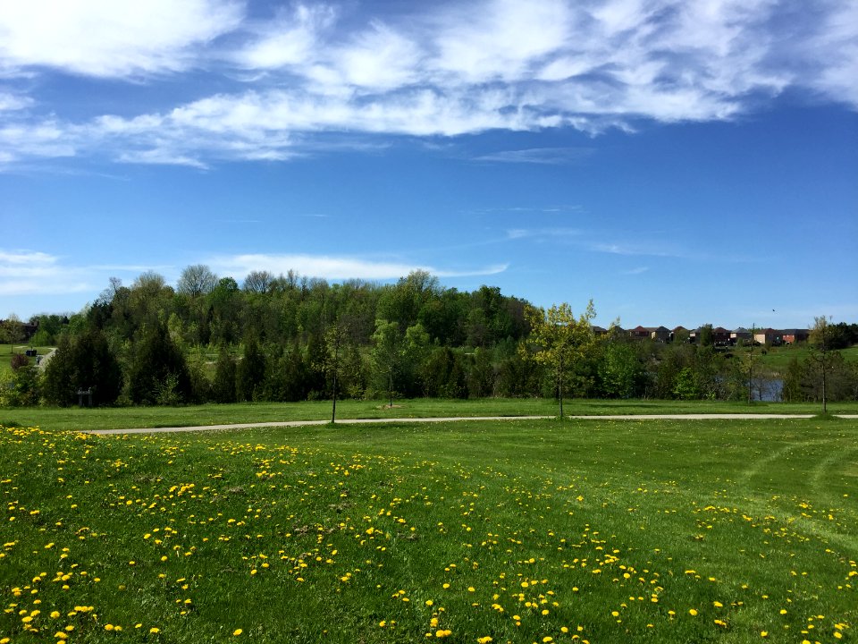 L'Amoreaux Park, May 2018 (1)