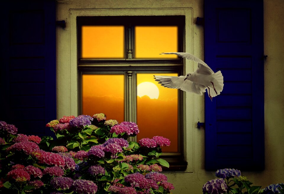 Decorative hydrangea seagull