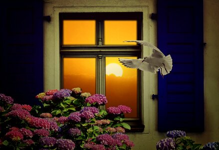 Decorative hydrangea seagull