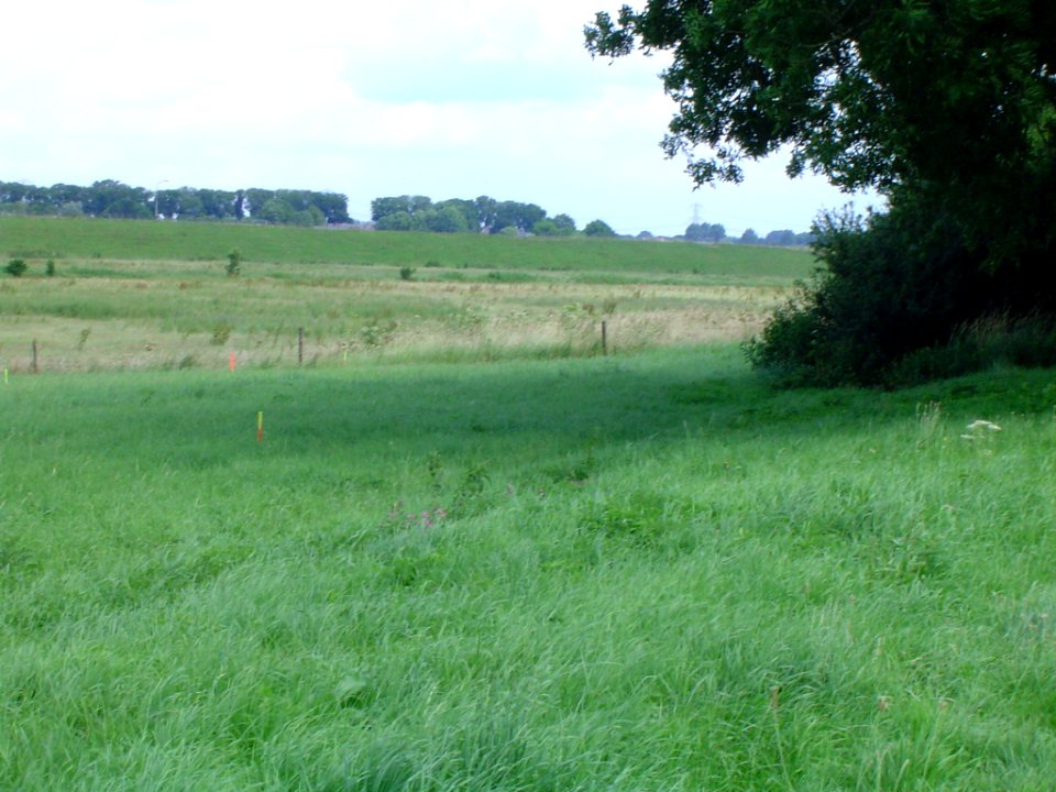 L'ancien lit de la Meuse