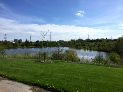 L'Amoreaux Park, May 2018 (3)