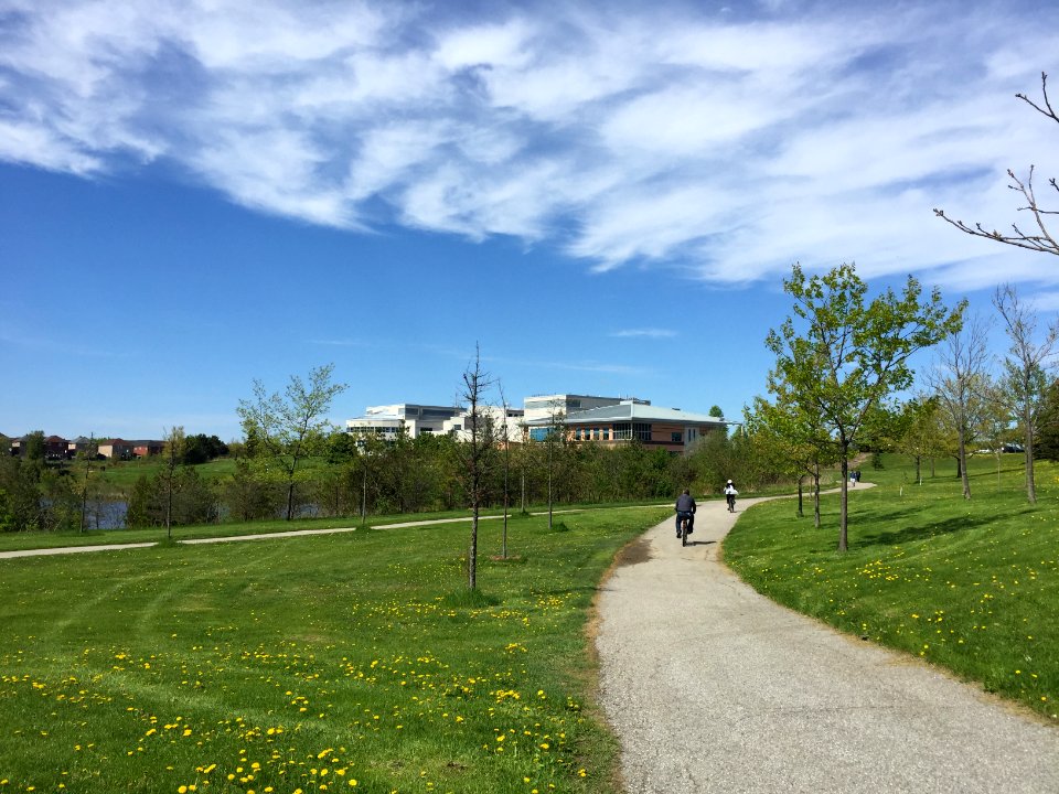 L'Amoreaux Park, May 2018 (2)
