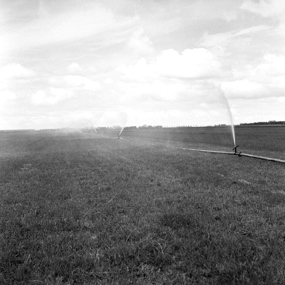 Landbouwmachines en werktuigen, werkzaamheden, beregening, sproeiers, kamperzand, Bestanddeelnr 160-1129