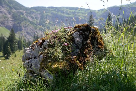 Alpine landscape idyll