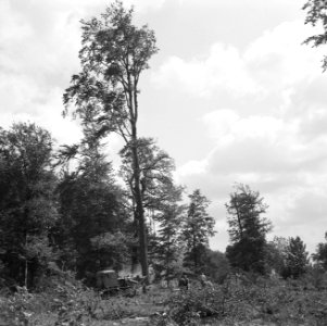 Landbouwmachines en werktuigen, werkzaamheden, rooien, stobben, D7-Uil, Presikha, Bestanddeelnr 160-1081