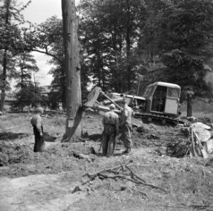 Landbouwmachines en werktuigen, werkzaamheden, rooien, stobben, D7-Uil, Presikha, Bestanddeelnr 160-1080