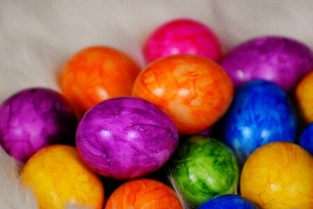 Easter easter eggs easter nest