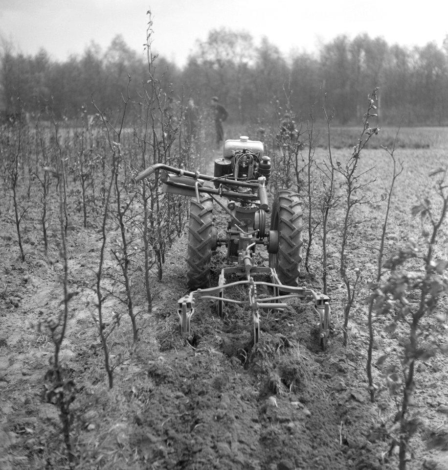 Landbouwmachines, werktuigen, grondbewerking, jonge, Bestanddeelnr 251-8788