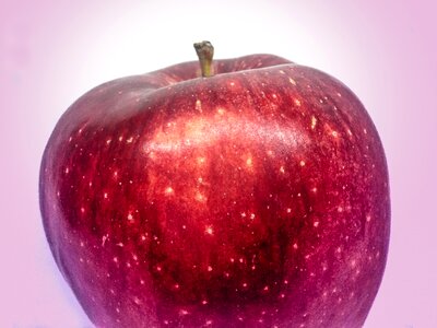 Red apple white background white