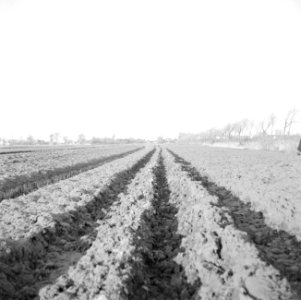 Landbouwmachines en werktuigen, werkzaamheden, grondvijzels, rathjens, Bestanddeelnr 160-1110
