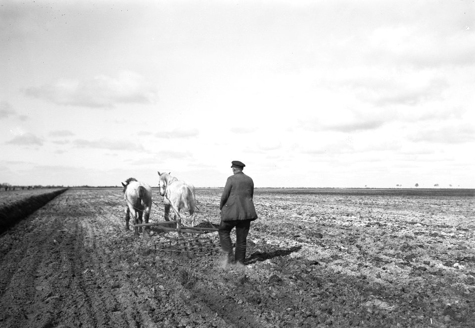 Landbouwmachines en werktuigen, eggen, paarden, Rheederveld, Bestanddeelnr 160-0929