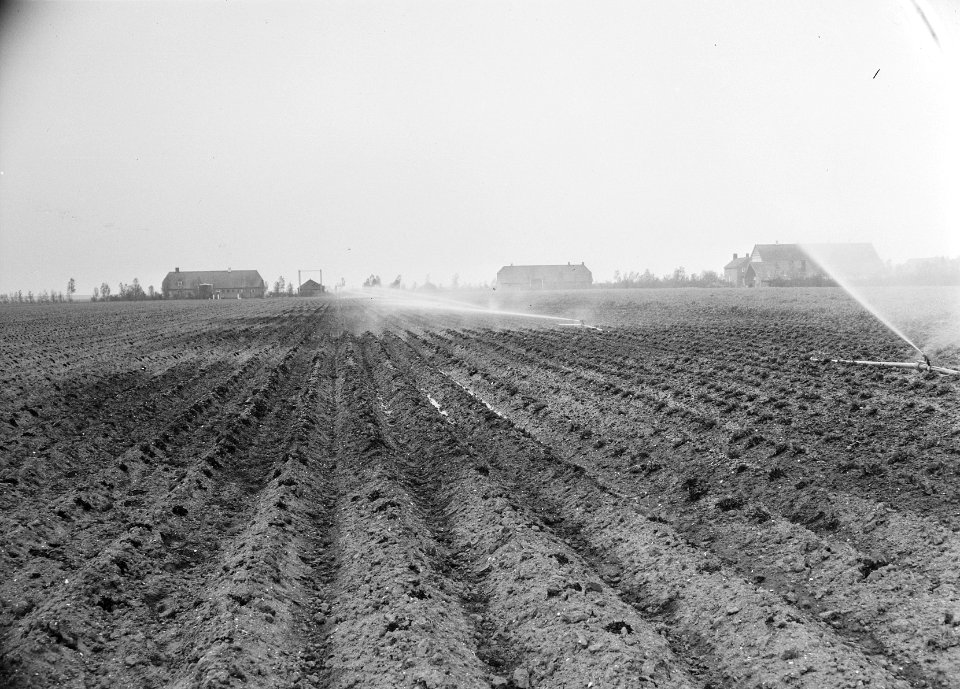 Landbouwmachines en werktuigen, werkzaamheden, beregening, ackerseghen, Bestanddeelnr 160-1131