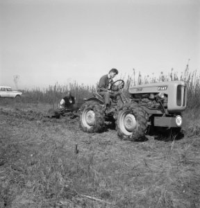 Landbouwmachines, werktuigen, grondbewerking, arbeiders, Tractors, Bestanddeelnr 253-5054