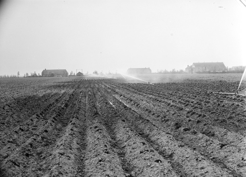 Landbouwmachines en werktuigen, werkzaamheden, beregening, ackerseghen, Bestanddeelnr 160-1130