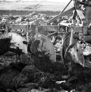 Landbouwmachines, werktuigen, stoppelschijvenploeg, Bestanddeelnr 250-8056
