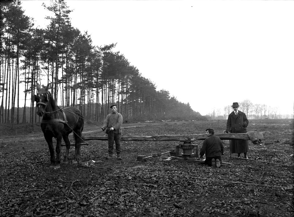Landbouwmachines en werktuigen, rooiers, paarden, Bestanddeelnr 160-0931