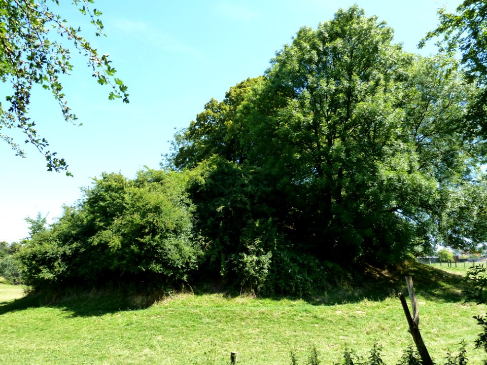Landen-Sinte-Gitter (7)
