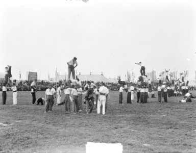 Landbouwtentoonstelling Eindhoven. Boerenjeugddag, Bestanddeelnr 903-5812