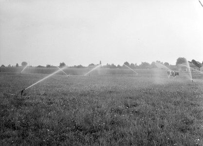 Landbouwmachines, werktuigen, beregeningsinstallaties, Bestanddeelnr 250-8195
