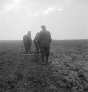 Landbouwmachines, werktuigen, arbeiders, werkzaamheden, paarden, Bestanddeelnr 251-9261