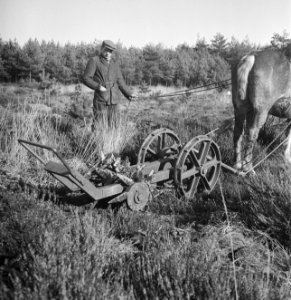Landbouwmachines, werktuigen, arbeiders, werkzaamheden, paarden, Bestanddeelnr 251-7055