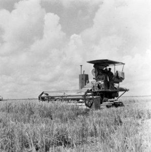 Landbouwmachines, werktuigen, Bestanddeelnr 250-8310