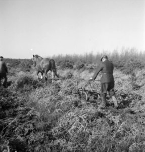 Landbouwmachines, werktuigen, arbeiders, werkzaamheden, paarden, Bestanddeelnr 251-7054