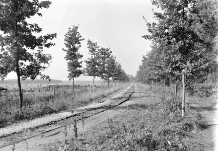 Landgoed De Utrecht Boerderij De Koekoek Eikenlaan, Bestanddeelnr 164-0494