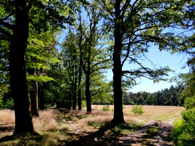 Landgoed noordhout - 2