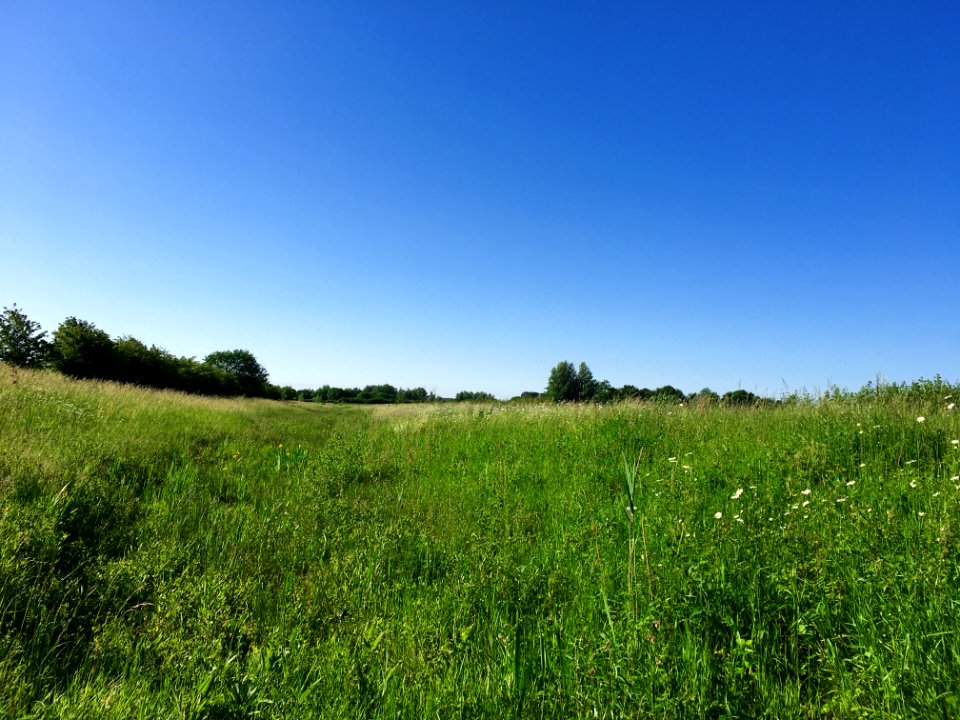 Landgoed Doornik (Bemmel)