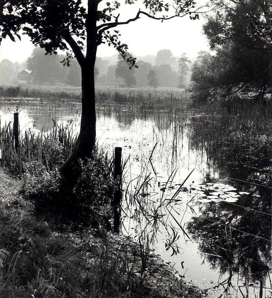 Landgoed Caprera, ziende naar het zuidwesten. Aangekocht in 1977 van fotograaf C. de Boer