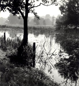 Landgoed Caprera, ziende naar het zuidwesten. Aangekocht in 1977 van fotograaf C. de Boer